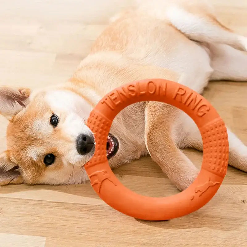 Dog lying on the floor with an orange ring toy.