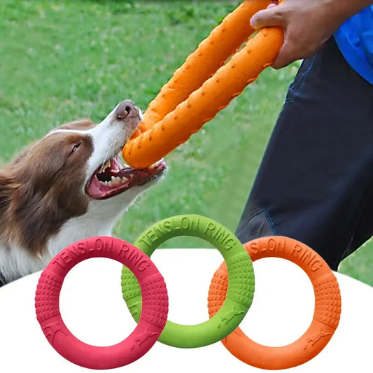 Dog toy consisting of a textured rubber ring in various bright colors.