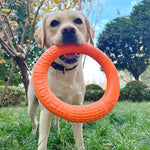 Rubber Dog Toys For Aggressive Chewers - Vignette | DoggyElite