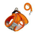 Safety Vest, Harness, and Leash - Vignette | DoggyElite