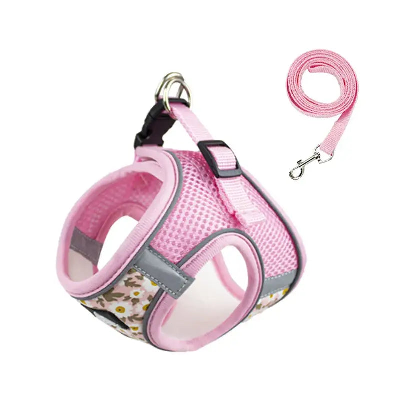 Pink mesh dog harness with matching leash.