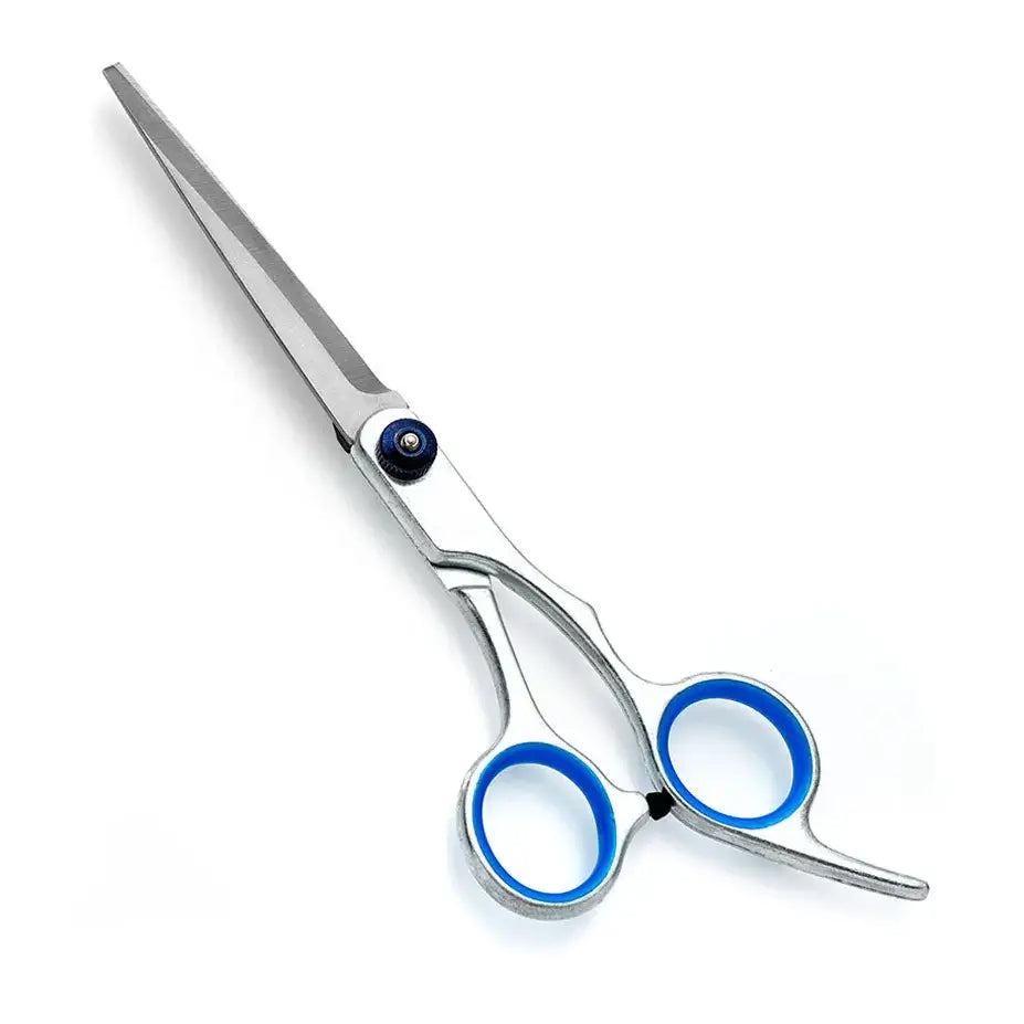 Pair of silver hair-cutting scissors with blue handles.