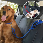 Seat Belt Dog Collar - Vignette | DoggyElite