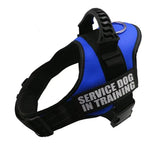 Service Dog Harness With Bridge Handle - Vignette | DoggyElite