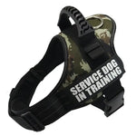 Service Dog Harness With Bridge Handle - Vignette | DoggyElite