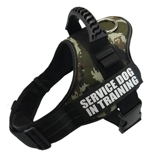 Service dog training harness with camouflage pattern and adjustable straps.