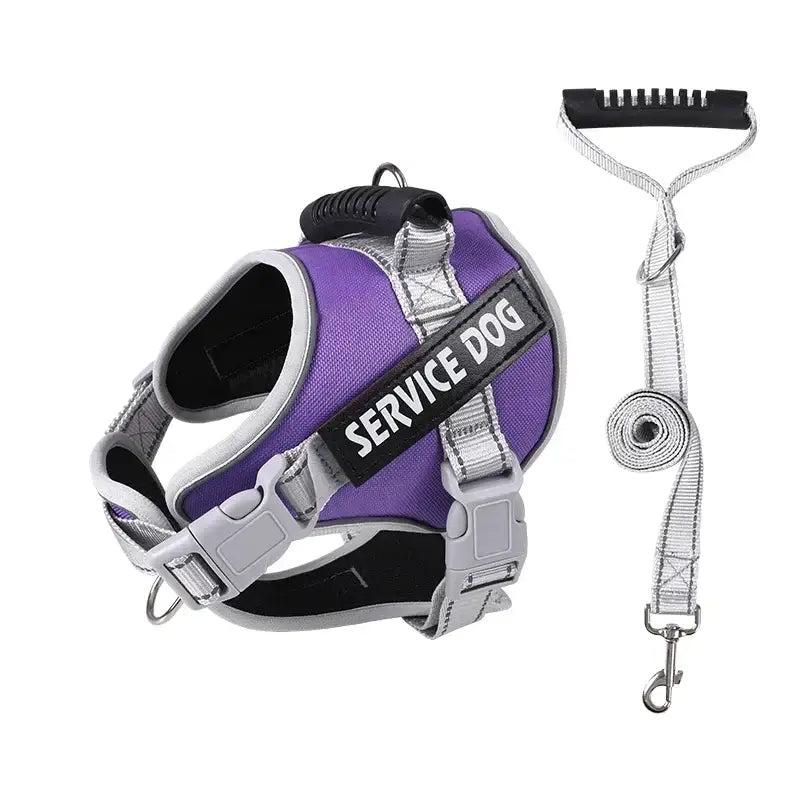 Purple and silver service dog harness with attached leash.