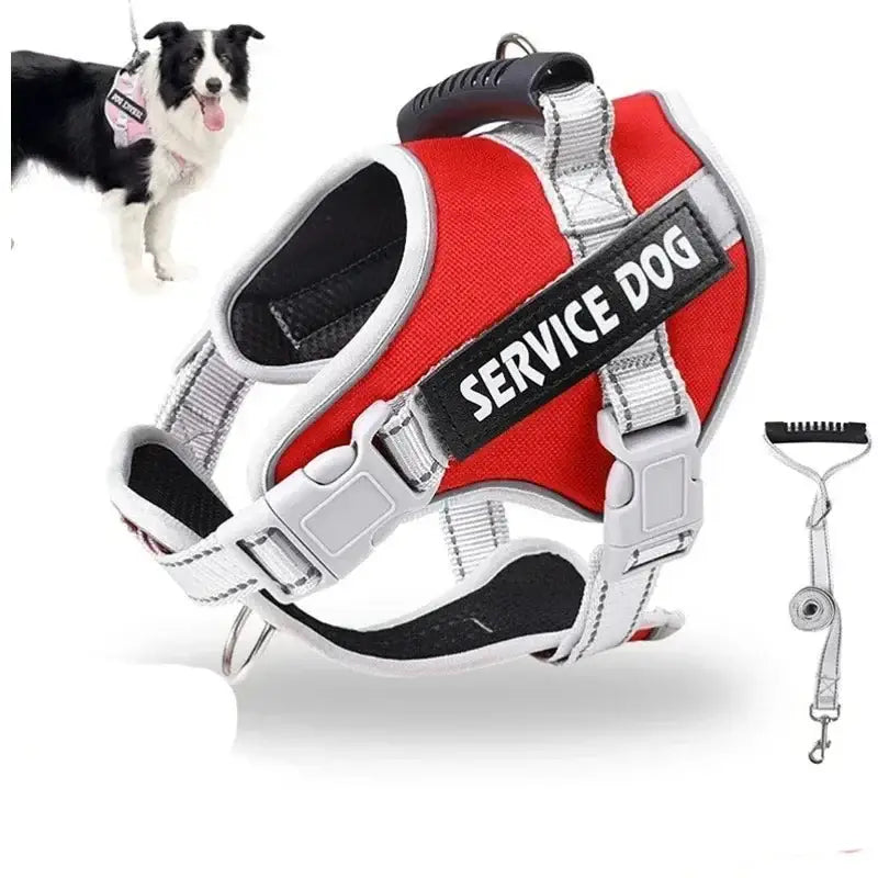 Red and gray service dog harness with ’SERVICE DOG’ printed on the side.