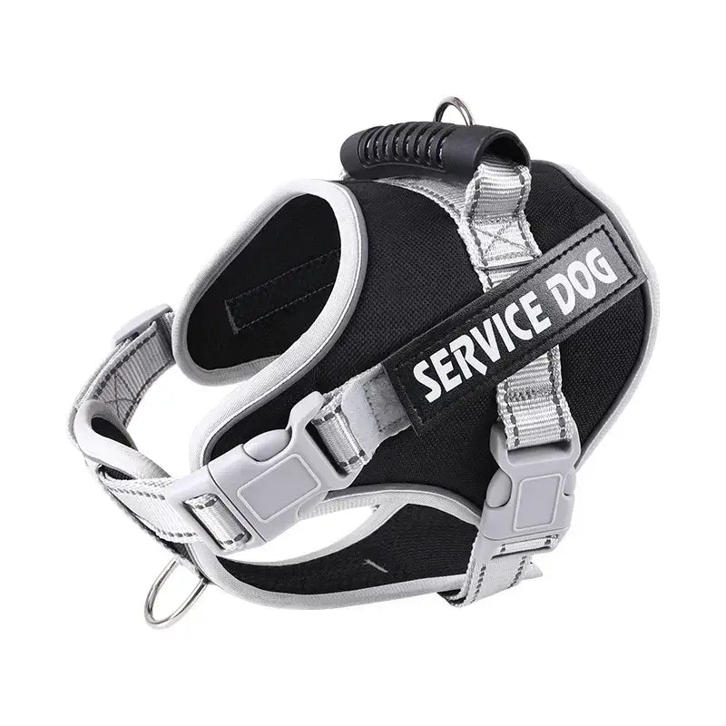 Service dog harness with adjustable straps and reflective lettering.