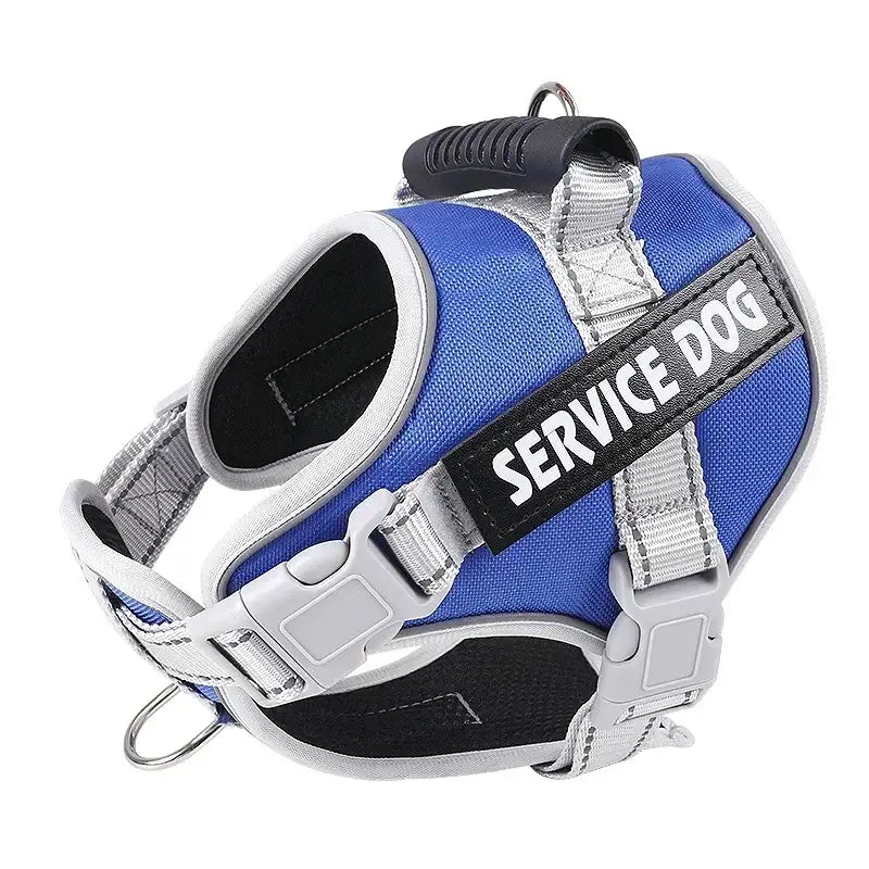 Service dog harness in blue, black, and silver colors with adjustable straps and a handle.