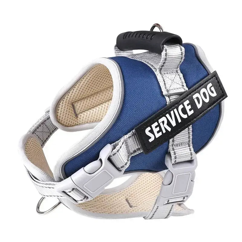 Service dog harness in blue, white, and silver colors with adjustable straps.