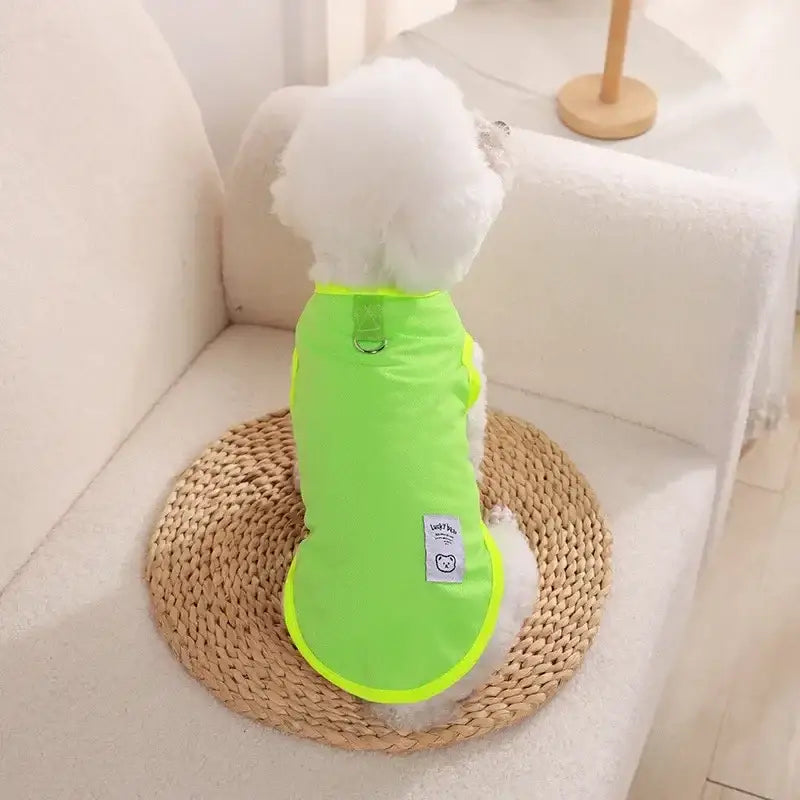 Small white dog wearing a bright neon green shirt.