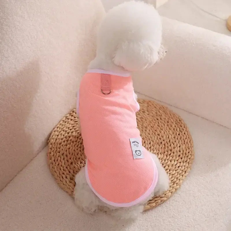 White dog wearing a pink shirt sitting on a woven circular mat.