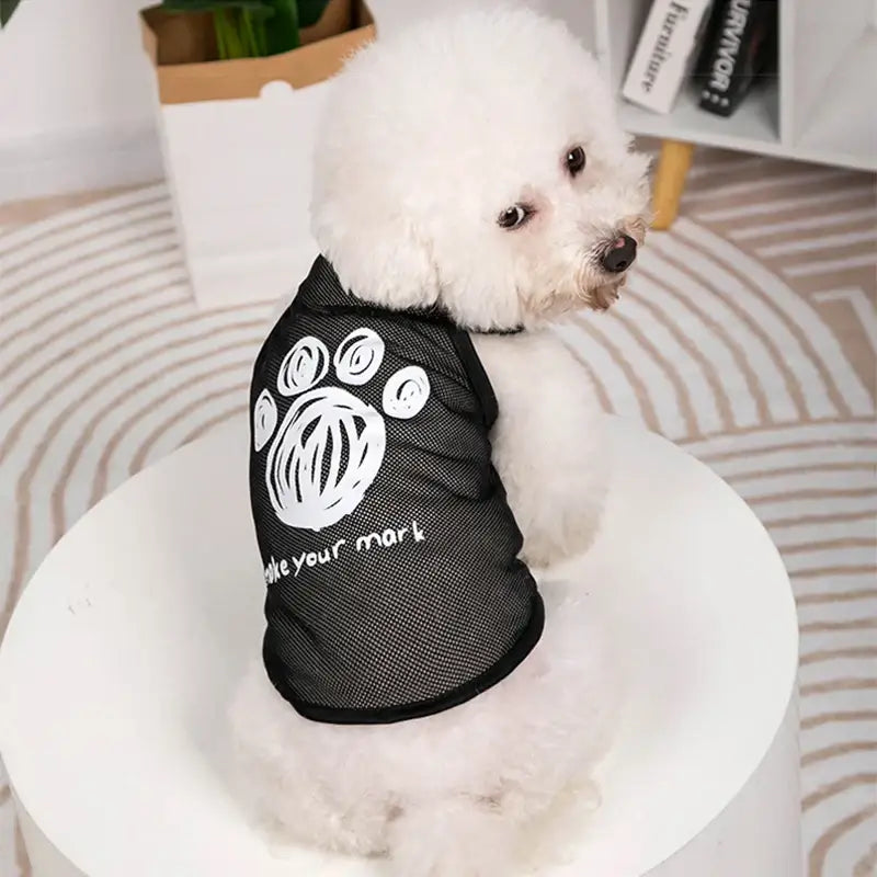 Fluffy white dog wearing a black shirt with a paw print design.