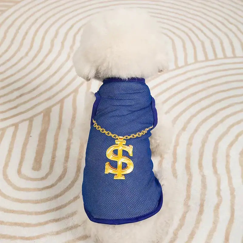 Small white dog wearing a blue outfit with a gold dollar sign necklace.