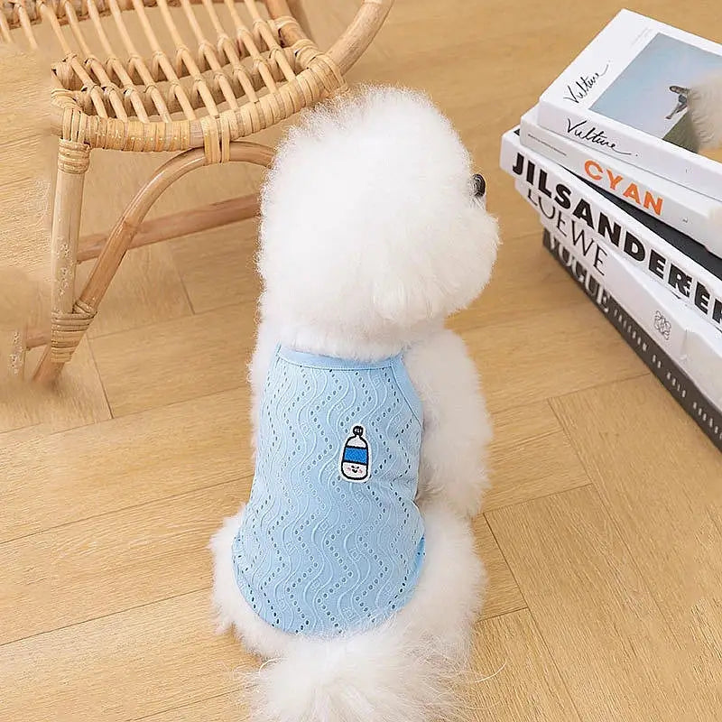 Fluffy white dog wearing a light blue sweater with a bottle design.