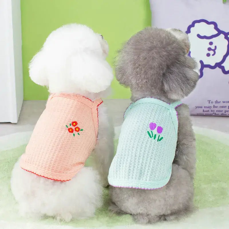 Two small dogs wearing knitted sweaters with floral embroidery.