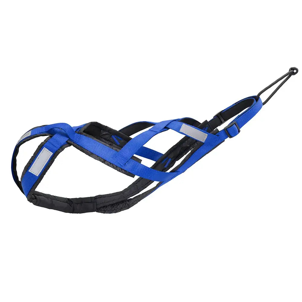 Dog harness with blue and black straps and reflective strips.