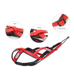 Sled Dog Harness - Vignette | DoggyElite