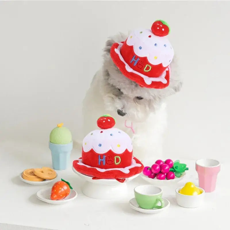 White fluffy dog wearing a red and white strawberry-themed hat.