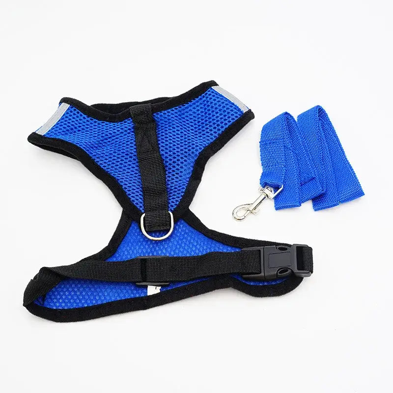 Blue mesh dog harness with black trim and an attached leash.