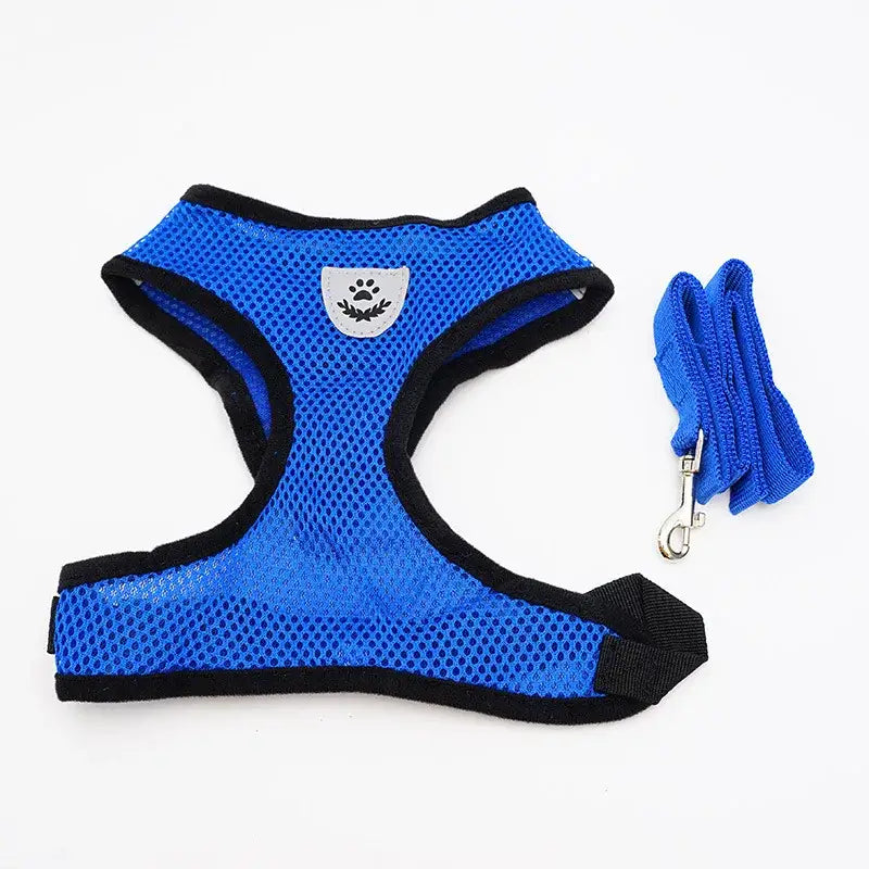 Blue mesh dog harness with a matching leash.