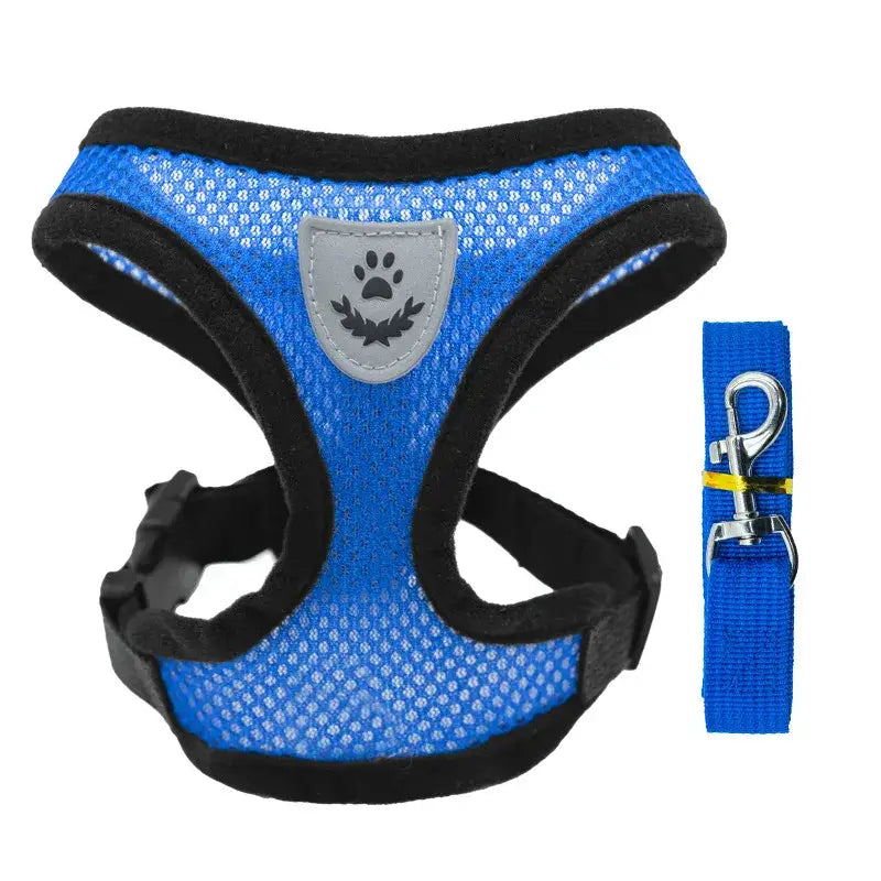 Blue mesh dog harness with black trim and a matching leash.