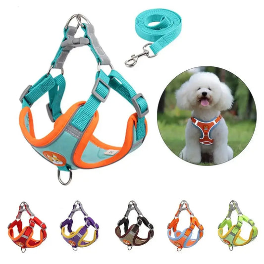 Colorful dog harness with matching leash shown in various styles and on a small white fluffy dog.