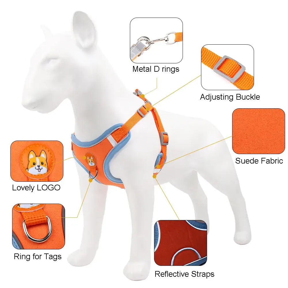 Dog harness with labeled features including adjustable straps, reflective elements, and attachment points.