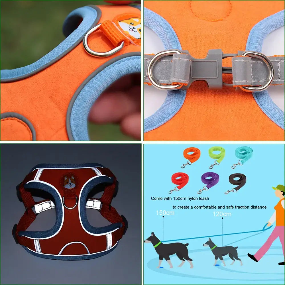 Dog harness and leash set with various colors and attachment options.