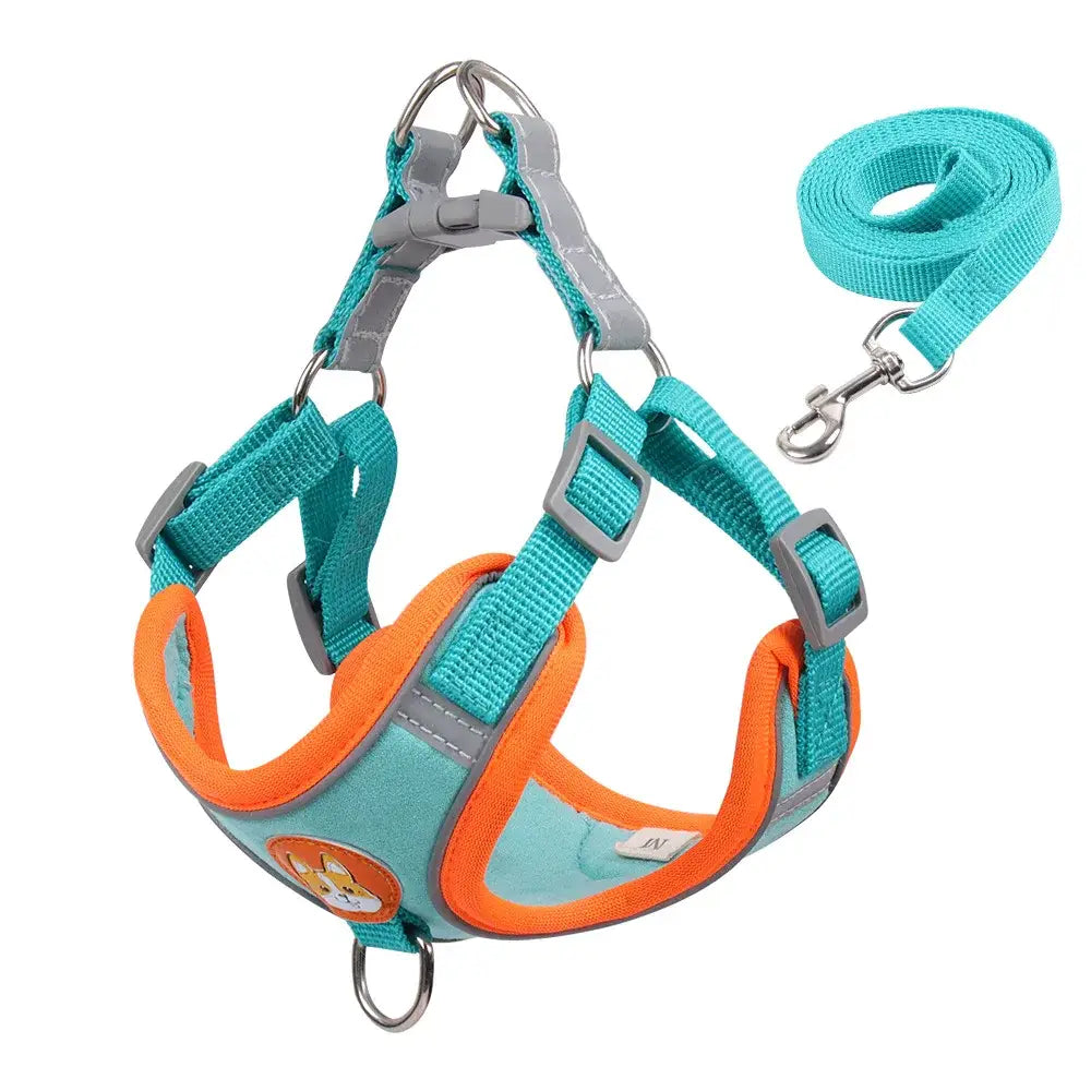 Dog harness with matching leash in teal and orange colors.