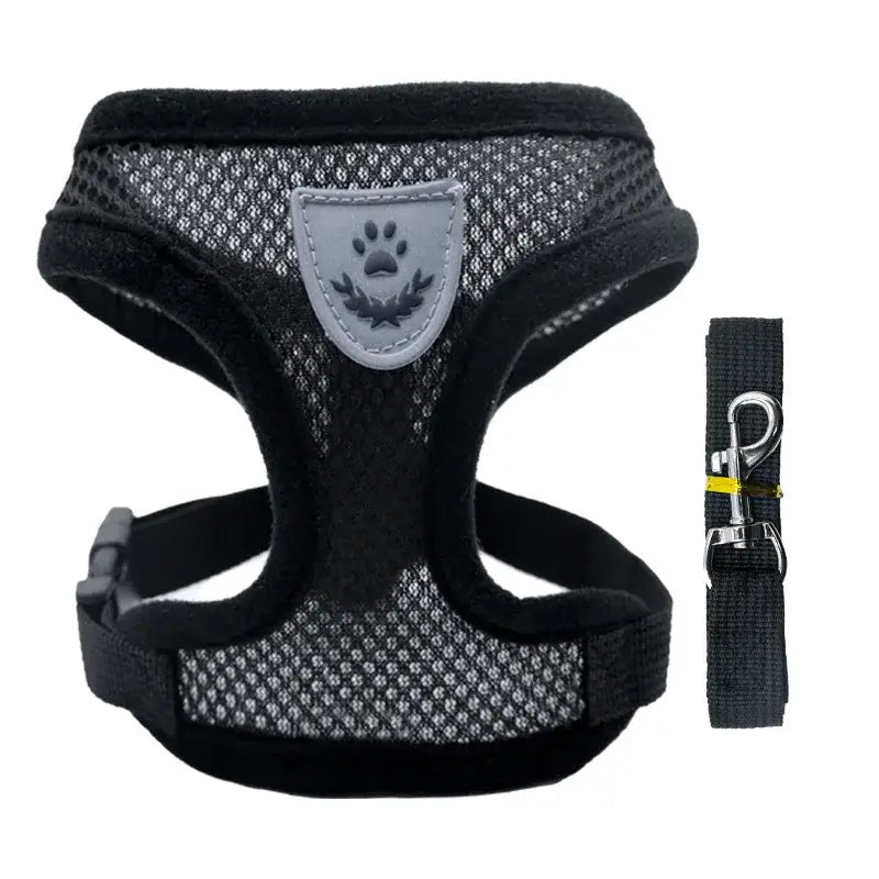 Dog harness with a mesh design and accompanying leash.