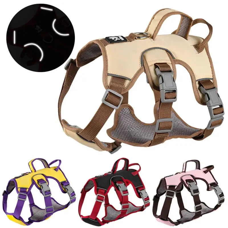 Dog harness with adjustable straps and buckles available in multiple color combinations.