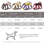 Small Dog Harness With Handle - Vignette | DoggyElite