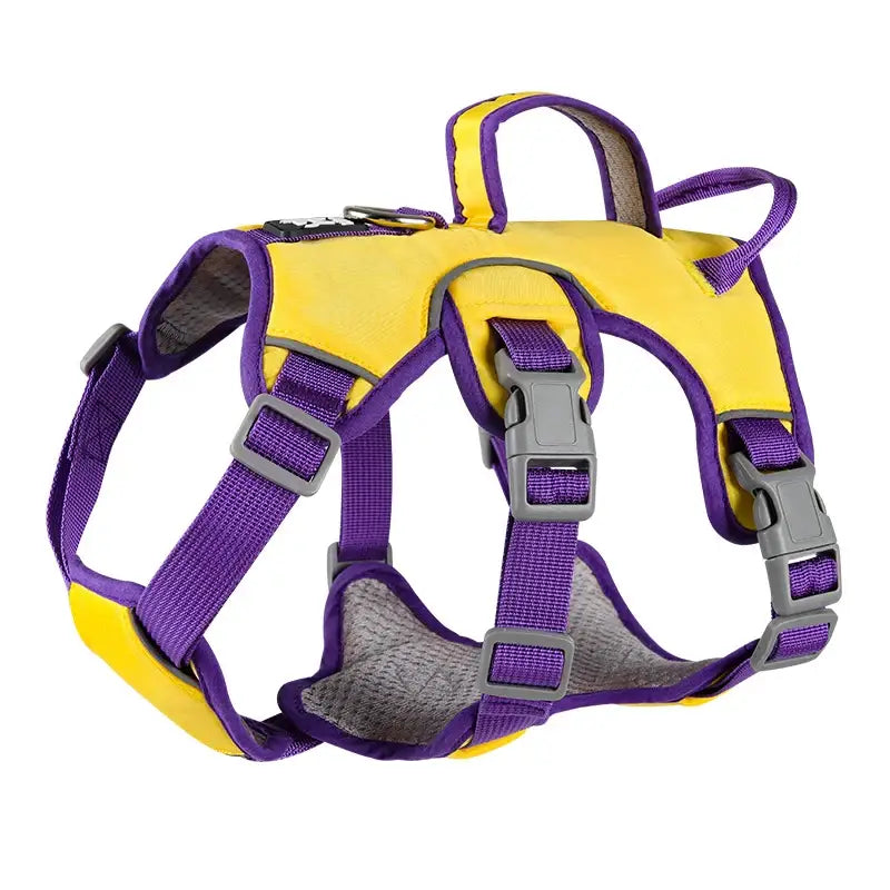 Yellow and purple dog harness with adjustable straps and buckles.