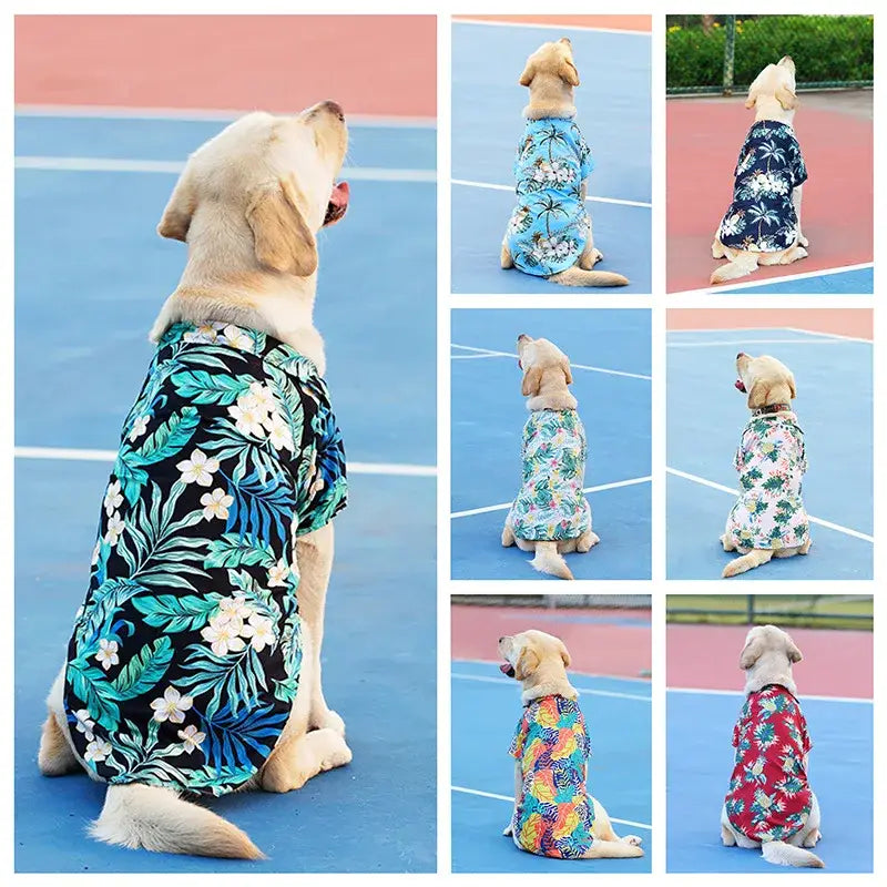 Dog wearing a colorful Hawaiian-style shirt.