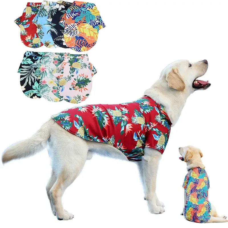 Dog wearing a colorful Hawaiian-style shirt.