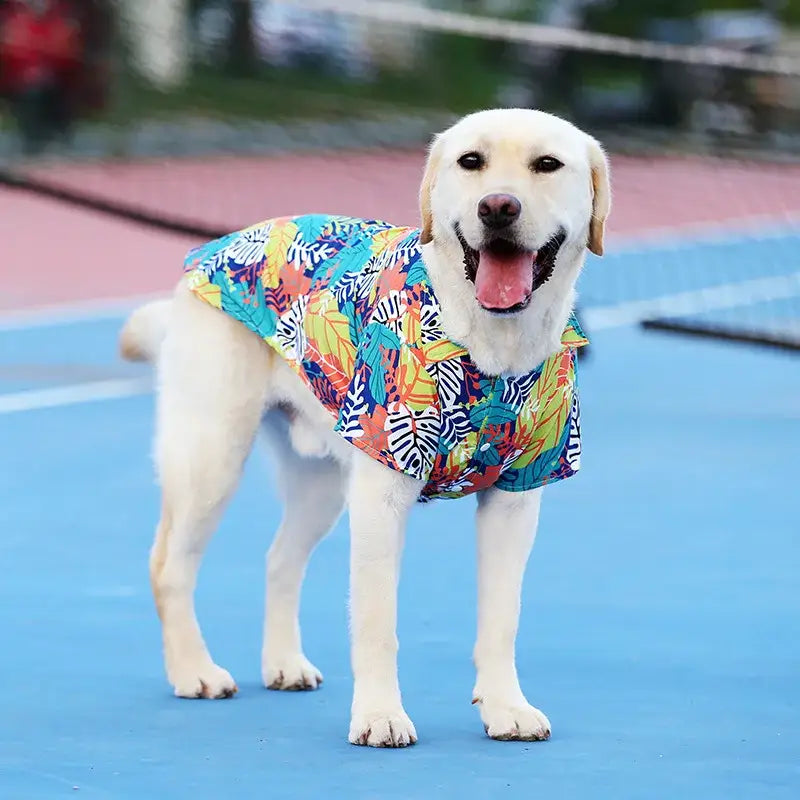 Happy yellow Labrador wearing a colorful tropical-print shirt.