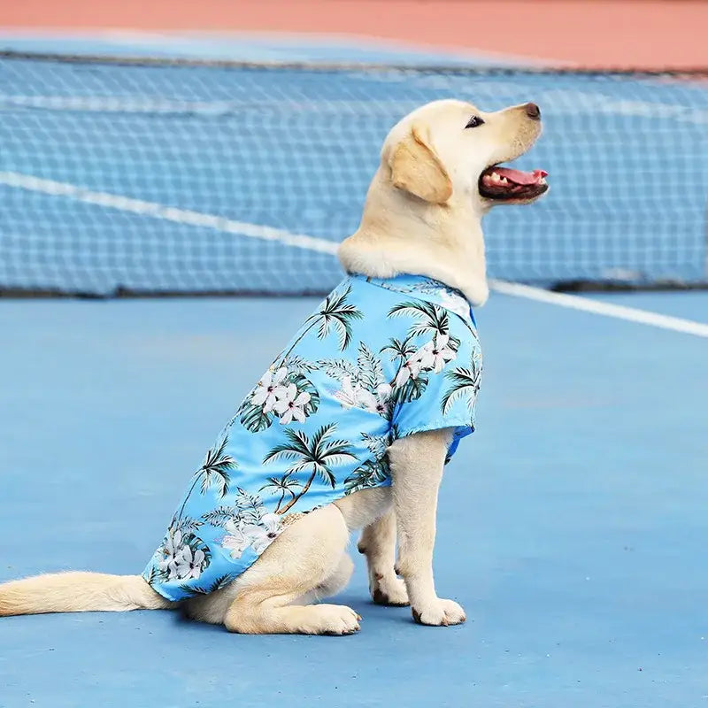 Yellow Labrador retriever wearing a blue Hawaiian-print shirt on a tennis court.