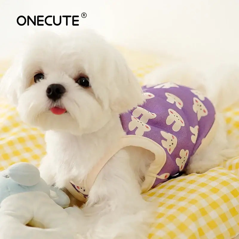 Fluffy white dog wearing a purple patterned shirt.