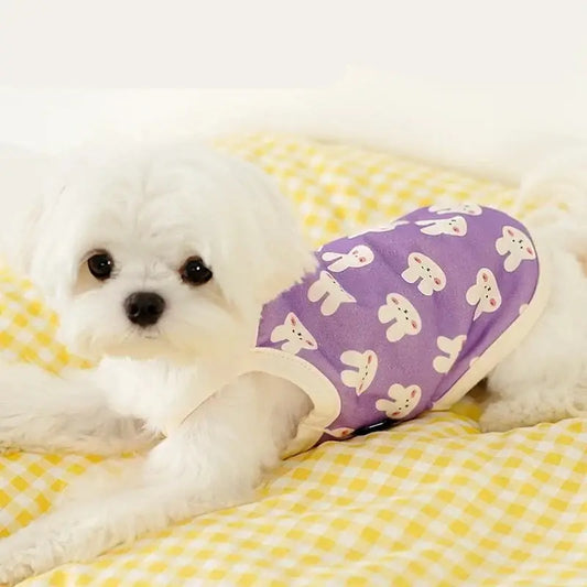 Fluffy white puppy wearing a purple shirt with bunny patterns.