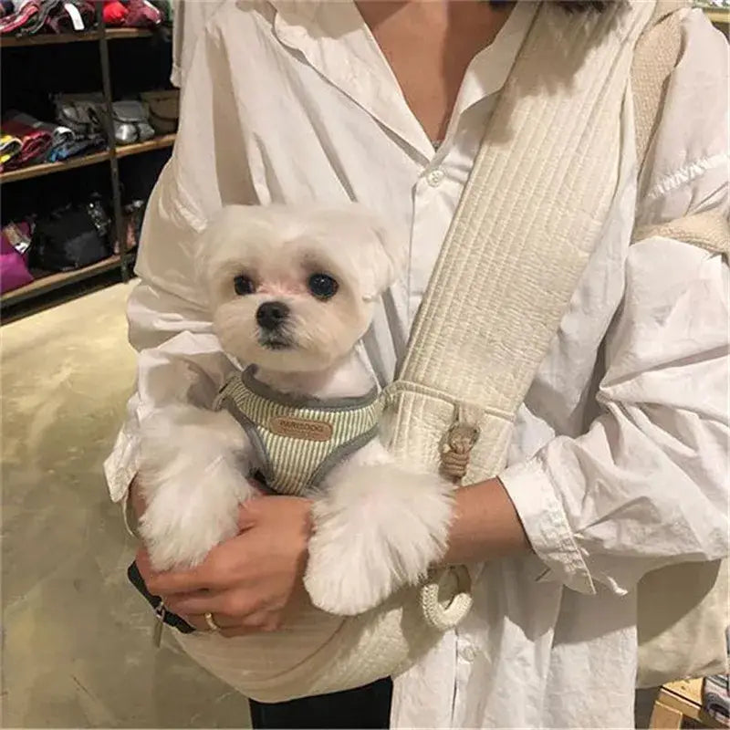 Fluffy white puppy wearing a striped harness being held.