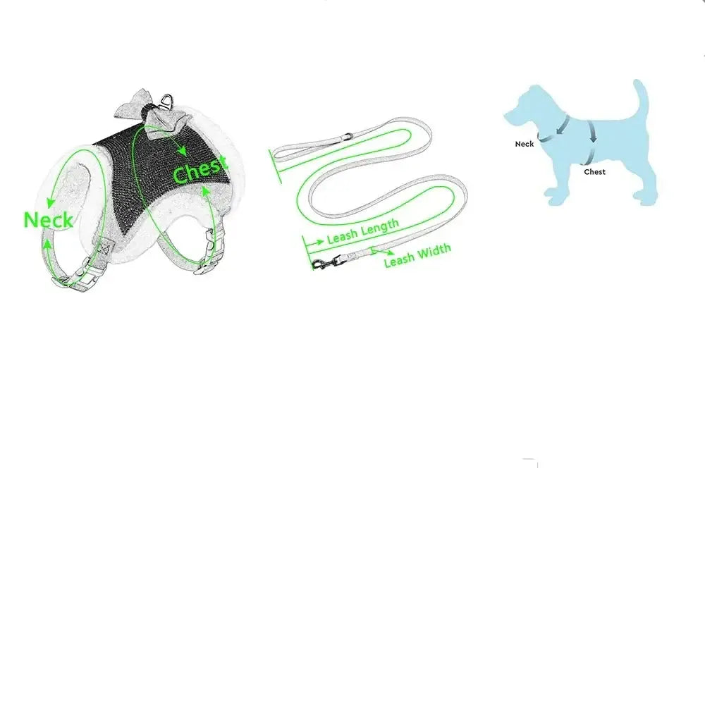 Dog harness with labeled parts and accompanying leash.