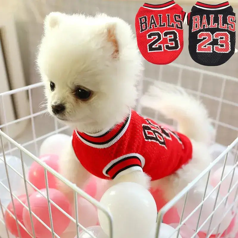 Fluffy white puppy wearing a red ’Bulls 23’’ jersey sitting in a wire basket.