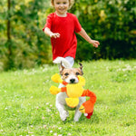 Squeaky Chicken Toy For Dogs - Vignette | DoggyElite