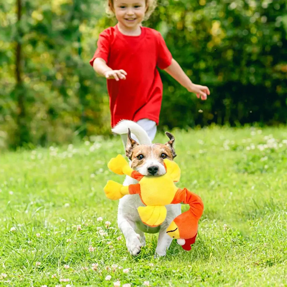 Dog wearing a colorful plush toy costume running on grass.