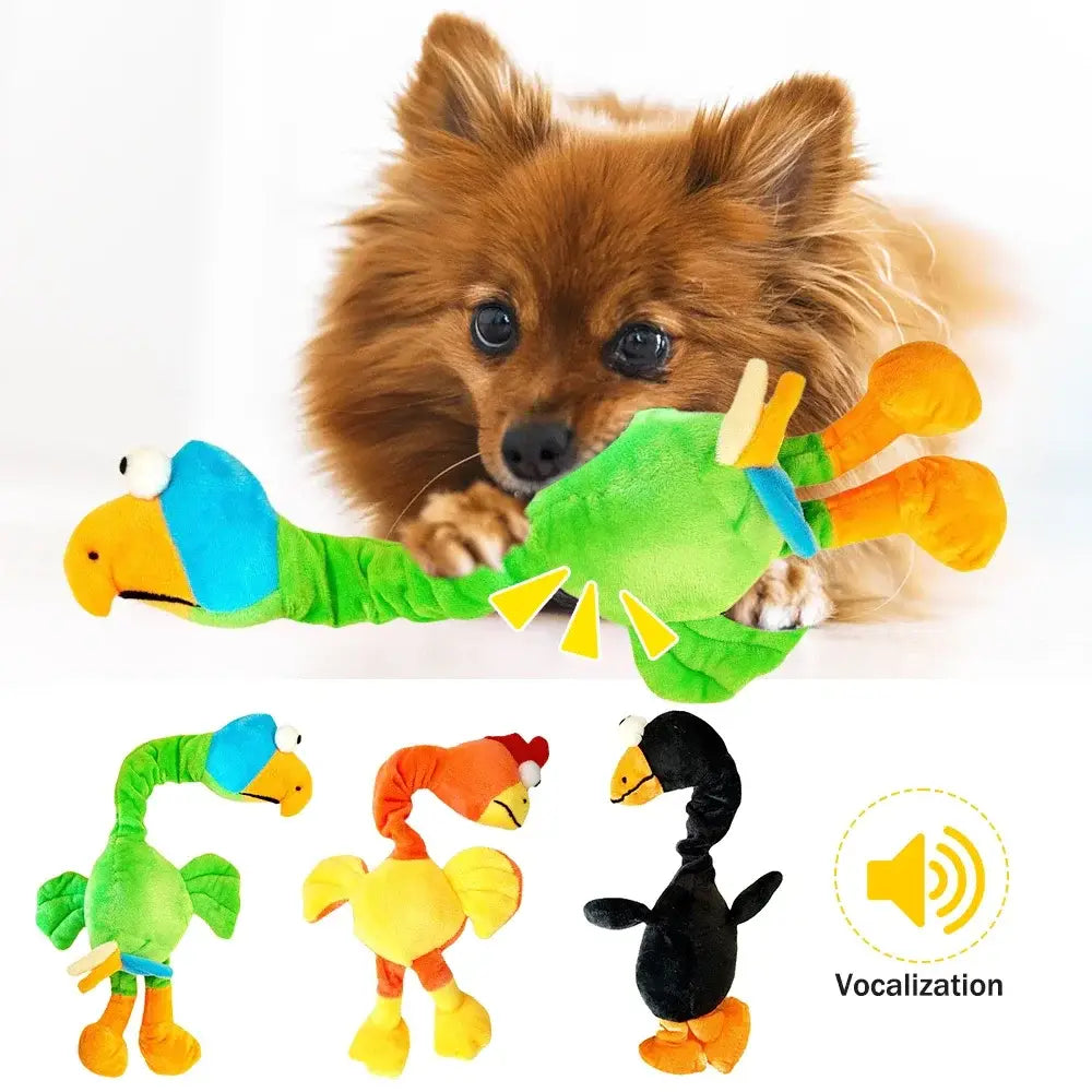 Fluffy Pomeranian dog holding a colorful plush bird toy.