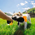 Squeaky Chicken Toy For Dogs - Vignette | DoggyElite