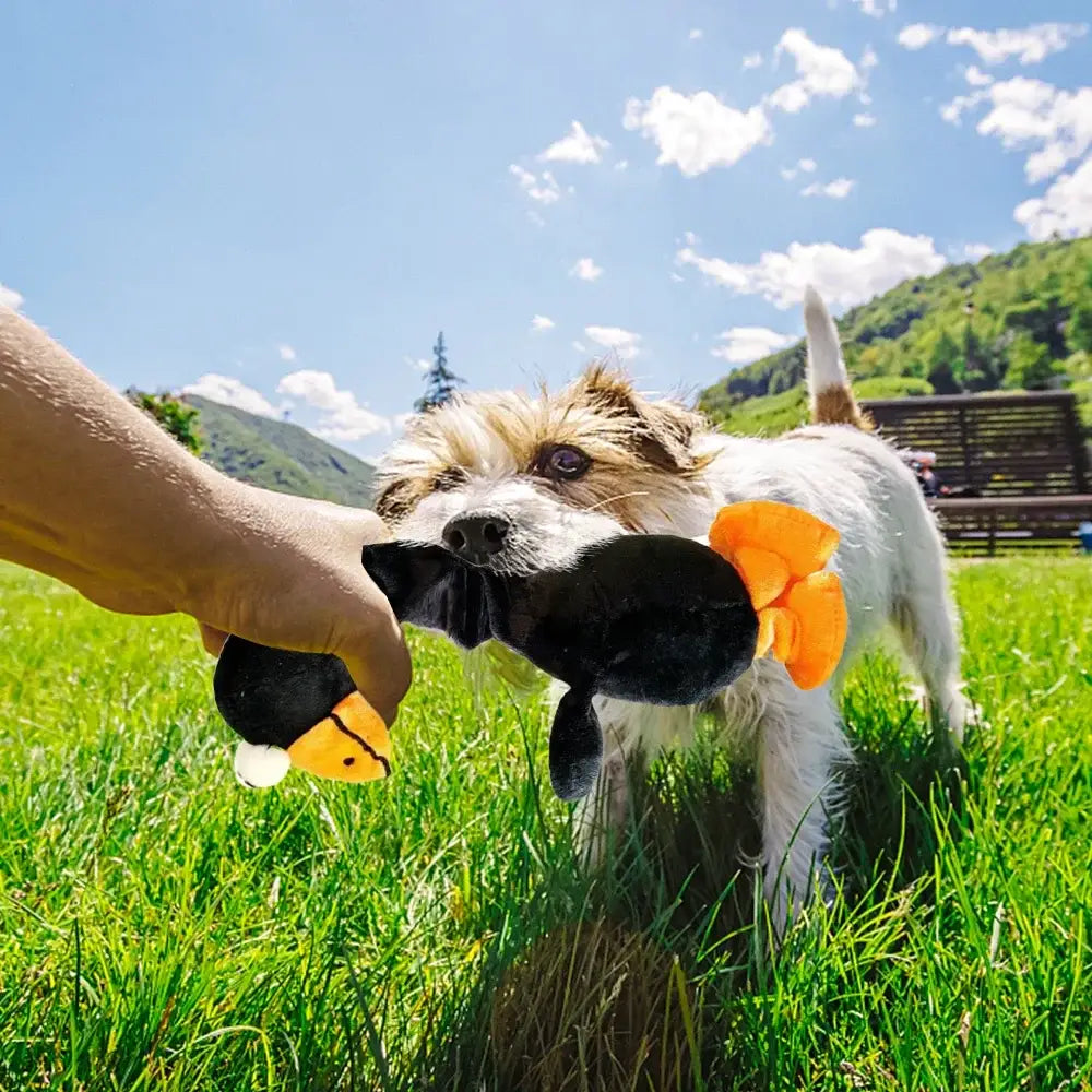 Playful dog tugging on a yellow and black toy held by a person’s hand.