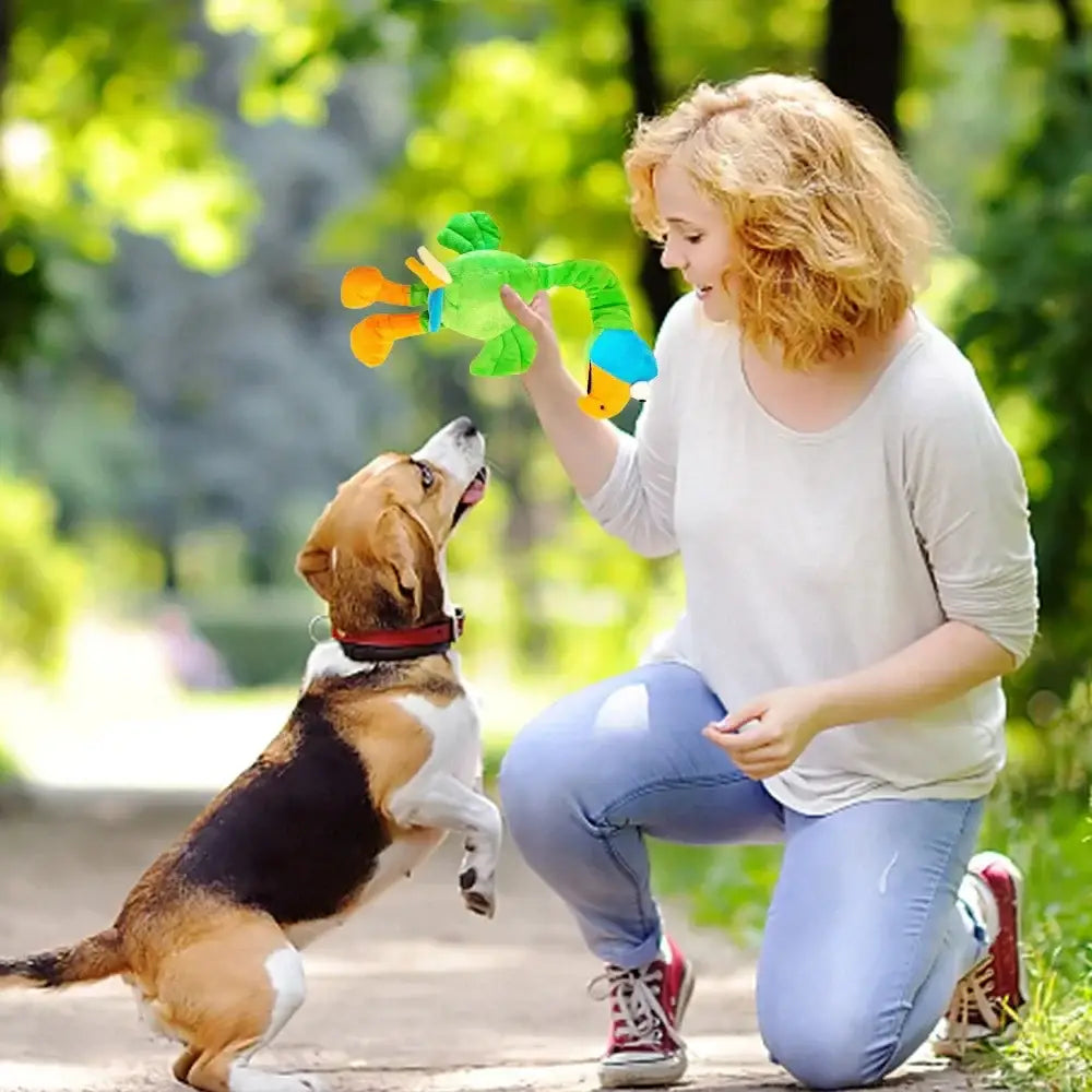 Woman playing with a beagle dog using a colorful toy.